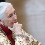 La investigadora y activista Jane Goodall, fotografiada la pasada semana, fue pionera con sus investigaciones sobre la comunicación en primates