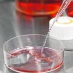 España es el tercer país con más firmas recogidas, tras Italia y Polonia
