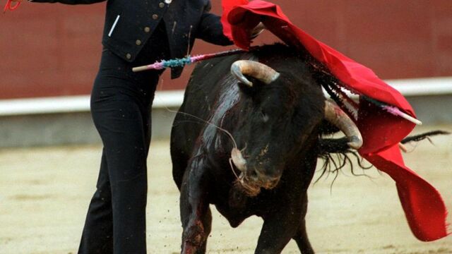 Manolo Cortés