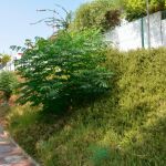 Lugar donde se alzará el nuevo jardín vertical / Foto: LA RAZÓN
