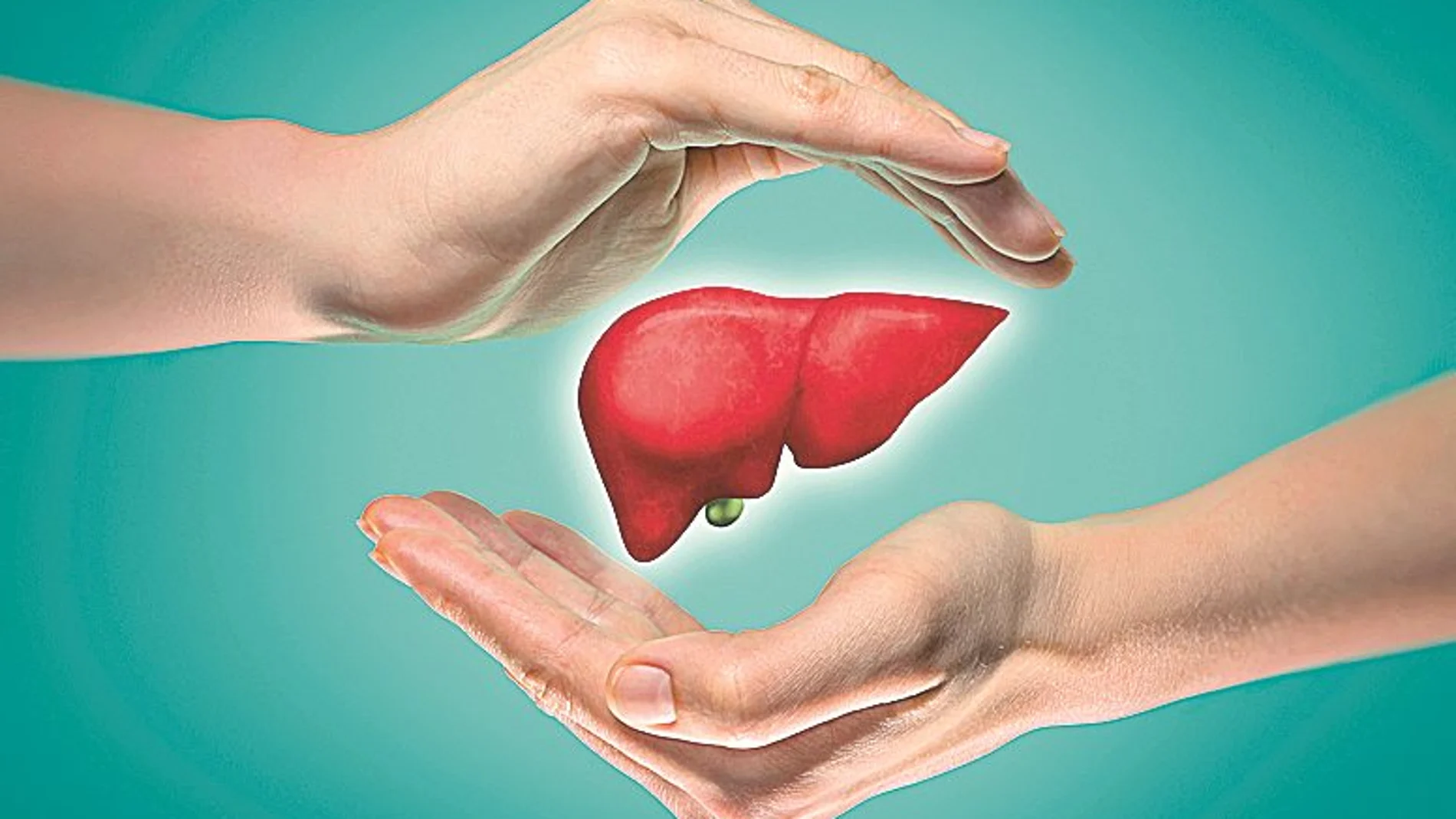 La enfermedad por hígado graso afecta a cerca del 20 % de la población adulta en España