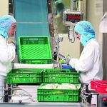El sector de la industria ha incrementado el número de activos en el último año