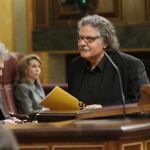 El portavoz de ERC en el Congreso, Joan Tardá