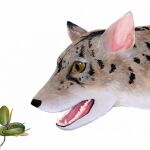 Reconstrucción del llamado beardog