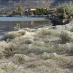 La telaraña ha cubierto hasta señales de tráfico/Foto y vídeo: Atlas