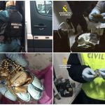 Combo de fotografías facilitadas por la Guardia Civil que ha detenido a cinco albaneses acusados de desvalijar cincuenta chalés de lujo en urbanizaciones de la Comunidad de Madrid en tan solo un mes