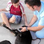 Los galgos tienen una altura y unas características muy favorables para trabajar con personas que cuentan con dificultades de movilidad