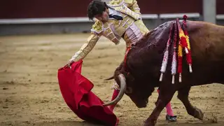 Juan del Álamo Juan del Álamo