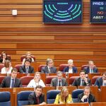 Imagen de la bancada popular con el presidente Herrera y los consejeros PIlar del Olmo, De Santiago-Juárez y Fernández Carriedo en primer término, durante una de las votaciones de las iniciativas que se debatían ayer en las Cortes regionales