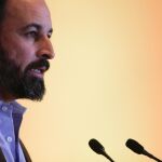 Santiago Abascal en una comparecencia