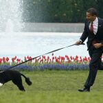 Detenido un hombre que quería secuestrar al perro de Obama