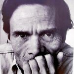 El cineasta carga contra la televisión y el «genocidio» cultural que provoca el consumismo