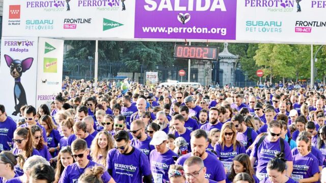 El objetivo de la marcha es concienciar a la población para reducir la cifra de abandonos