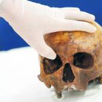 Mengele, la alargada sombra del cerebro nazi