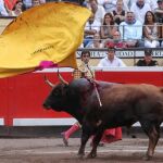 Torneo de «mansodontes» inservibles