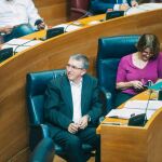El conseller de Economía, Rafael Climent, durante una sesión del pleno de Les Corts