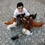 El 93 por ciento de los animales inscritos en el registro son perros (Foto: Manuel Olmedo)