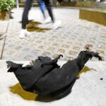 Décimas de segundo. Los agresores salieron corriendo tras prender fuego al hombre en un parque de Carabanchel, donde ayer se veían los restos de una prenda quemada