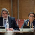 La presidenta de la Plataforma por las Garantías Ciudadanas, Inmaculada Sánchez Ruiz (d), y el abogado de la entidad, Alberto Ganga (i), durante su comparecencia ante la Comisión de Investigación de la Financiación de los Partidos Políticos del Senado.