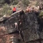 Momento en el que dos perros arrastran al venado y caen por el precipicio ante la mirada del cazador