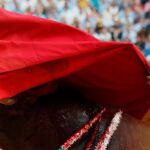 Manzanares dando un pase de pecho, hoy, en Sevilla / EFE