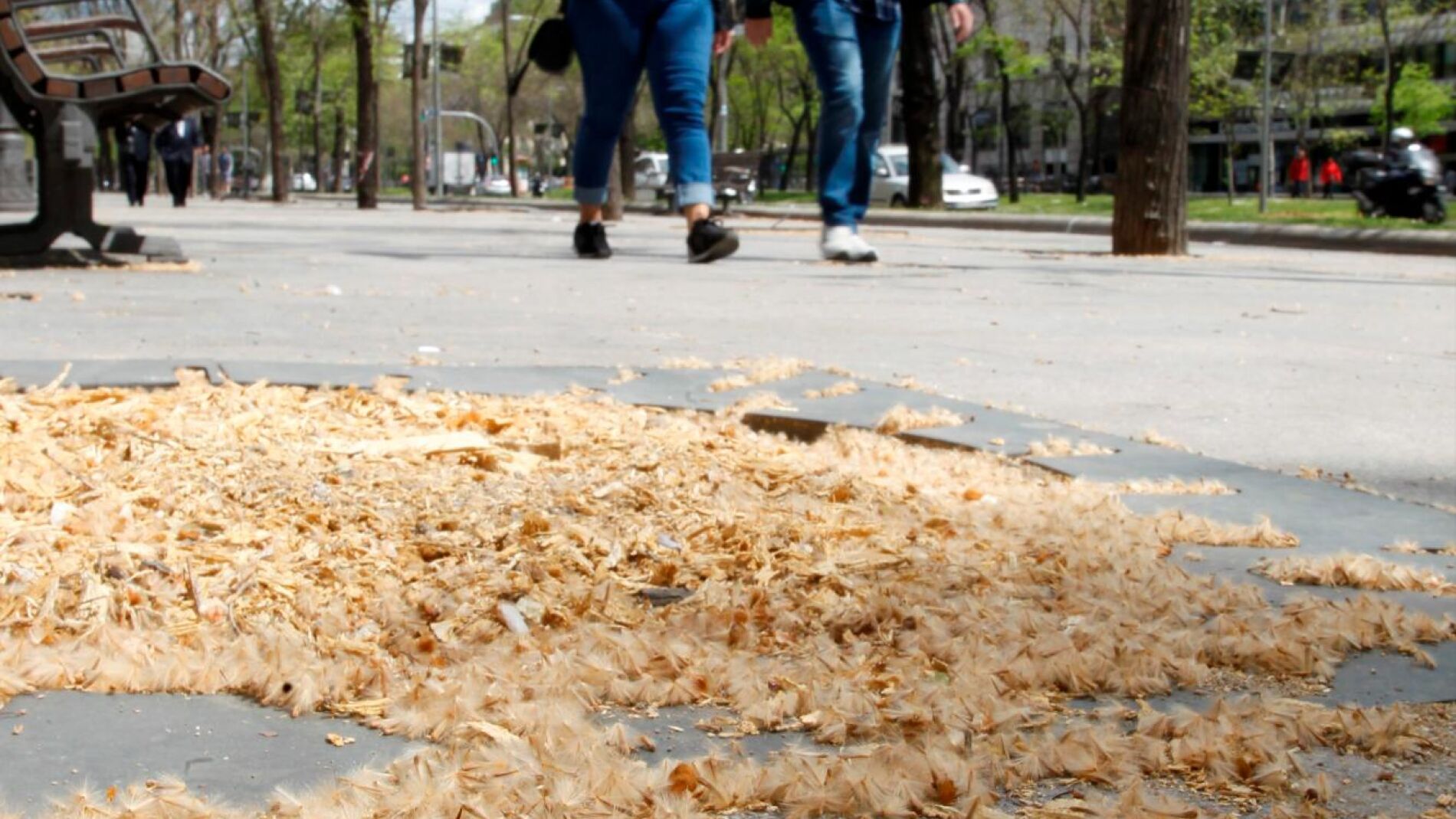 Tras años de quejas, Barcelona iniciará un cambio histórico que aliviará la vida de miles de sus vecinos