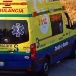 Hasta el lugar de los hechos trasladaron los servicios sanitarios, que intentaron reanimar a la víctima.