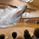 La realidad aumentada de Magic Leap llevó una ballena a un gimnasio