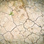 El clima y la alarma