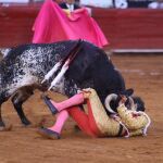 Diego Silveti sufre una aparatosa cogida, sin consecuencias, en la Monumental de La México
