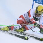 El austriaco Max Franz durante la prueba de Super-G