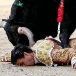 Pablo Aguado quedó inerte en el ruedo de Las Ventas al ser cogido por su primer novillo