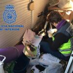 La operación se ha saldado con la detención de cuatro miembros de la red.