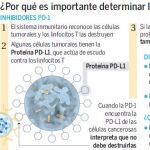IOdetect, una plataforma pionera para detectar biomarcadores
