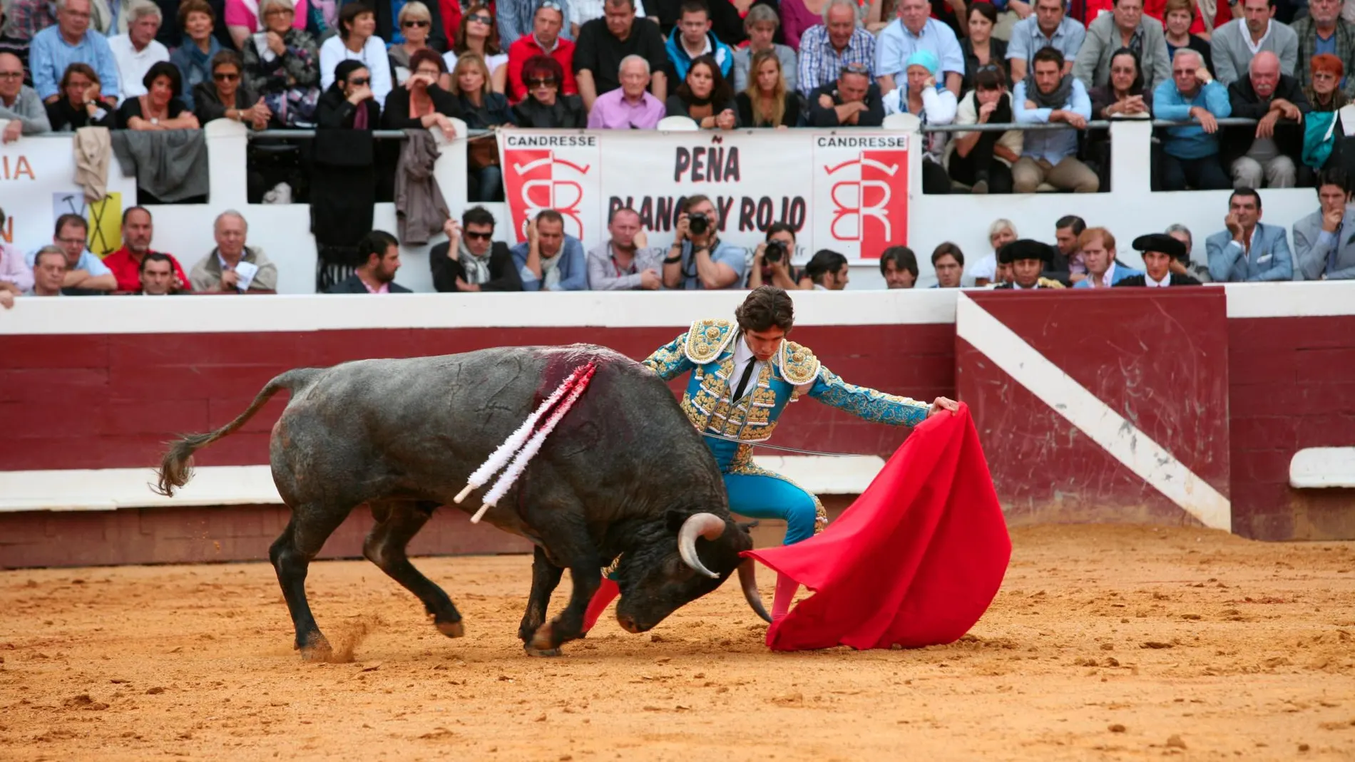 Sebastian Castella en la plaza de toros francesa de Dax, en imagen de archivo