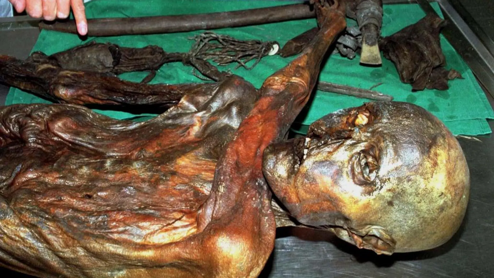 ¿Sabías que la momia Ötzi tenía 'flora intestinal' hace 5.300 años?