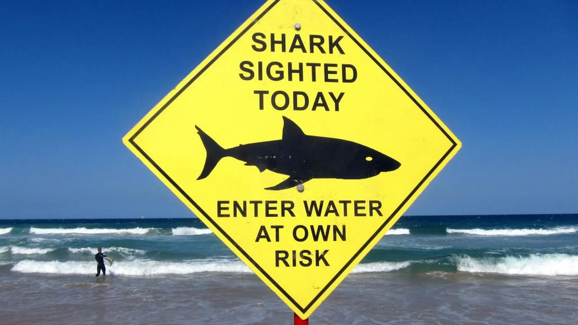 Un cartel advirtiendo de la presencia de tiburones en una playa australiana, el pasado martes