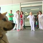 Maya, a las puertas del hospital de Elda