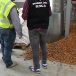 Detenidas 52 personas implicadas en el robo de 24.000 kilos de almendras