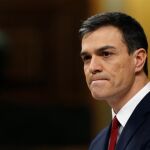 Pedro Sánchez, en una imagen de archivo / Efe