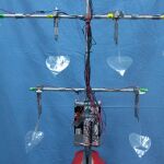 Las hojas del árbol biomimético, modeladas como las hojas del álamo, producen electricidad gracias al efecto piezoelétrico. Imagen: Christopher Gannon