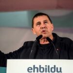 Arnaldo Otegi / Efe