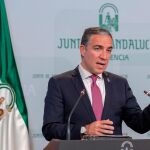 El consejero de Presidencia y portavoz del Ejecutivo andaluz, Elías Bendodo / Foto: Efe
