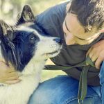 El 88 por ciento de las personas que tiene una mascota afirma que no la abandonaría jamás