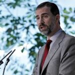 En la imagen, Su Alteza el Príncipe Felipe de Asturias