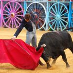 El novillero David Martín en su actuación en La Algaba