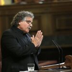 Joan Tardá, durante su intervención en la segunda sesión del debate de investidura del candidato del PP, Mariano Rajoy.