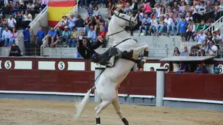 Andy Cartagena se adorna con «Luminoso», en el cuarto toro Andy Cartagena se adorna con «Luminoso», en el cuarto toro