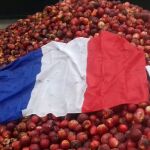 Imagen publicada en la cuenta de Twitter de FranceBleuRoussillon‏