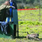 La presidenta de la Junta, Susana Díaz, durante la suelta de un lince